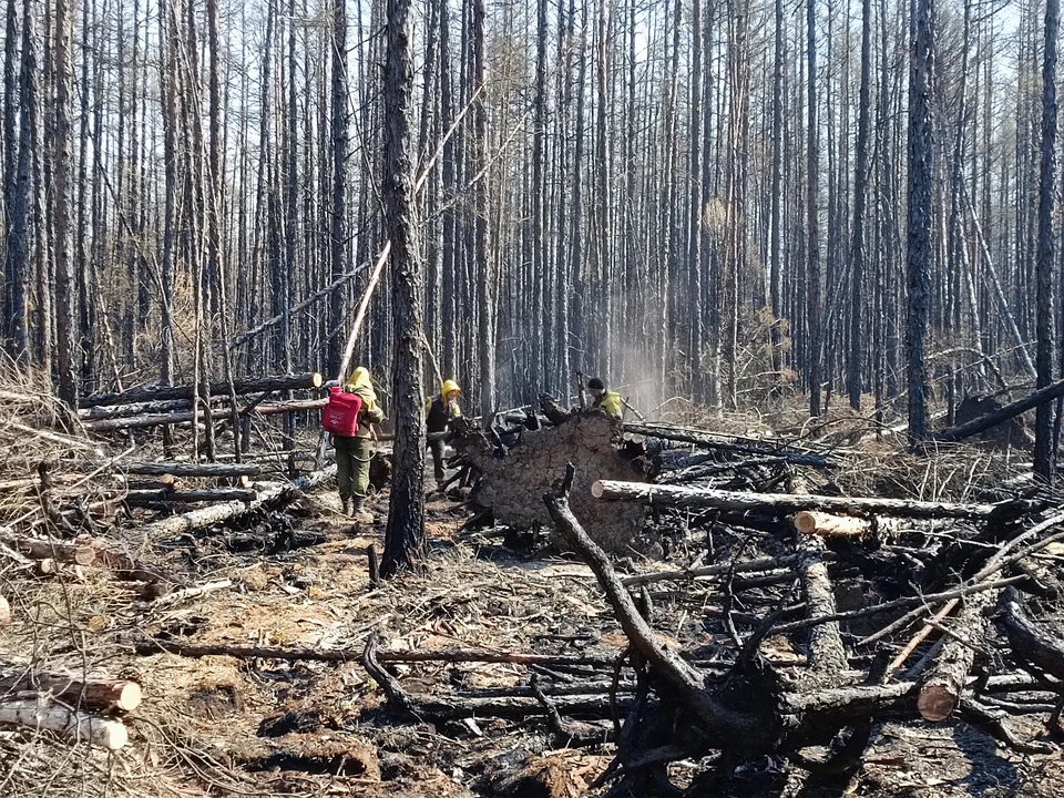 За нарушение правил особого противопожарного режима и несоблюдение рекомендаций предусмотрена административная ответственность.
