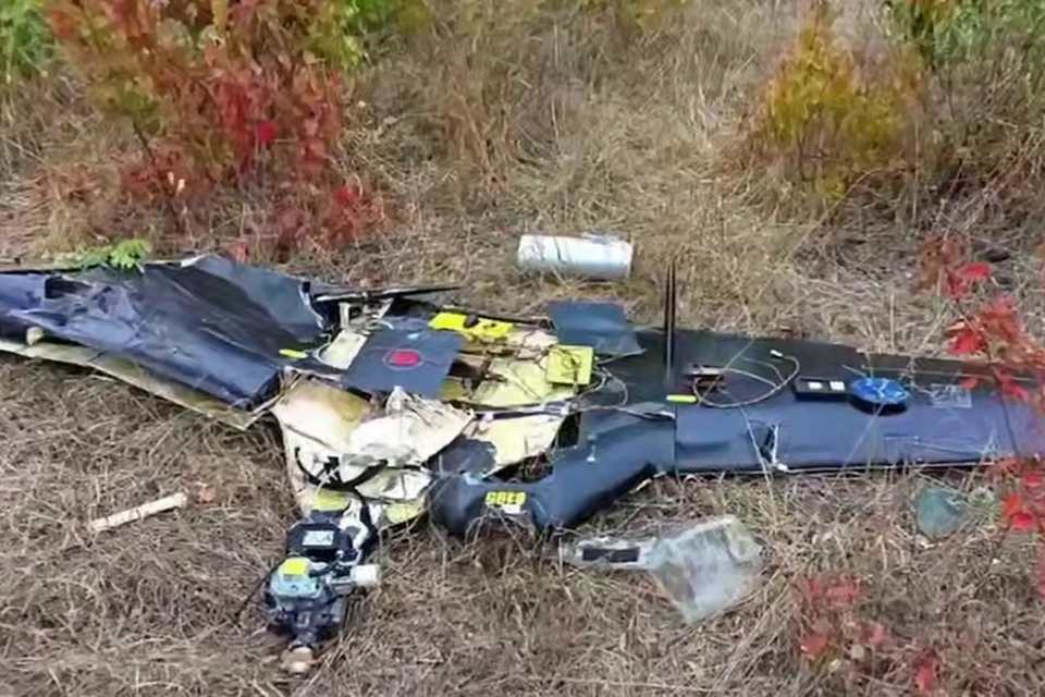 Система РЭБ «Купол Донбасса» за неделю перехватила 770 дронов ВСУ в ДНР. Фото: УФСБ России по ДНР