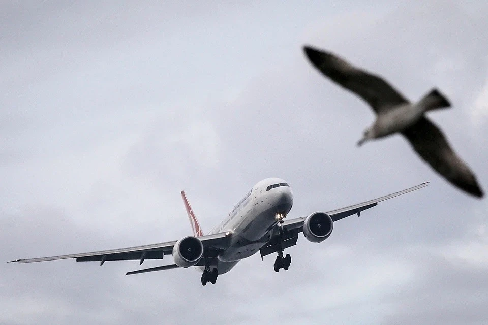 В саратовском аэропорту введены временные ограничения