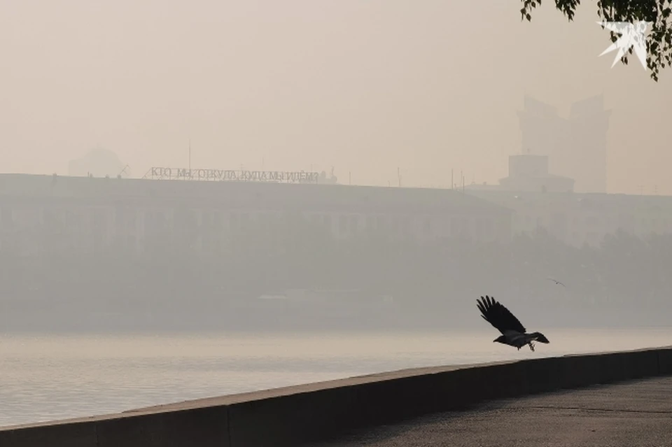 Свердловскую область накроет смогом на неделю