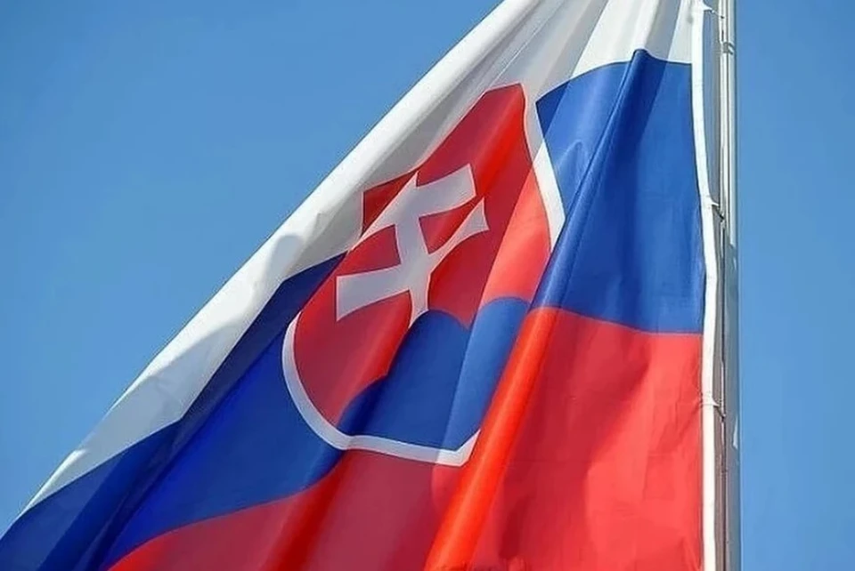 Словакия не планирует сокращать импорт нефти и газа из РФ по требованию Трампа