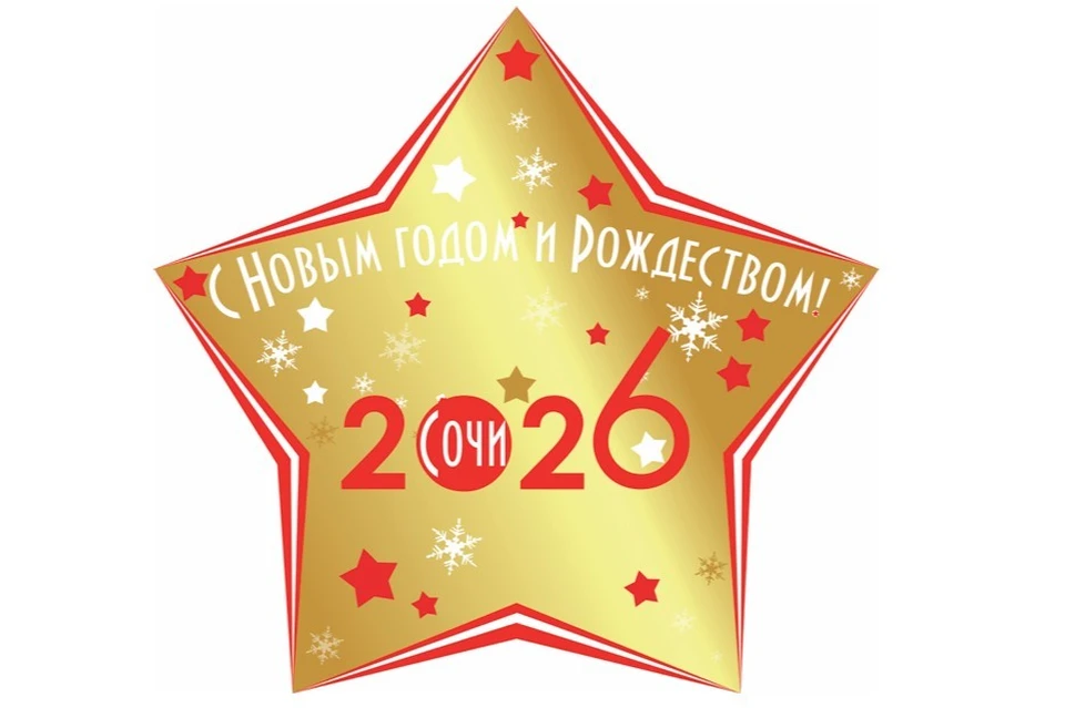 Концепцией предложен основной логотип в виде фигуры стилизованной пятиконечной звезды. Фото: пресс-служба администрации Сочи