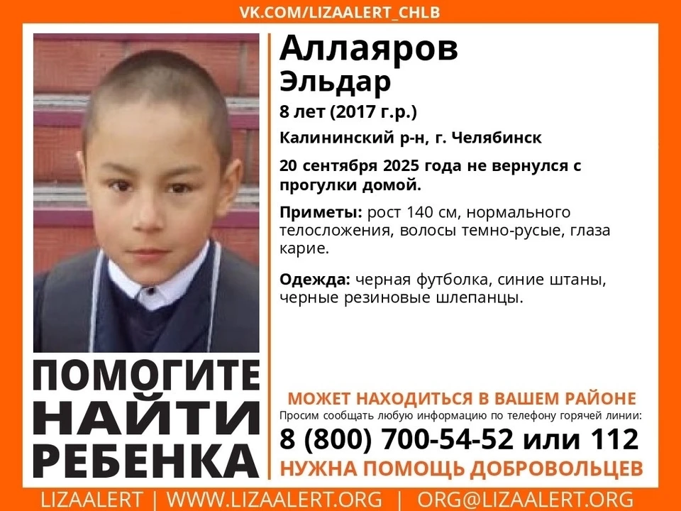 Фото: поисково-спасательный отряд "ЛизаАлерт" Челябинской области