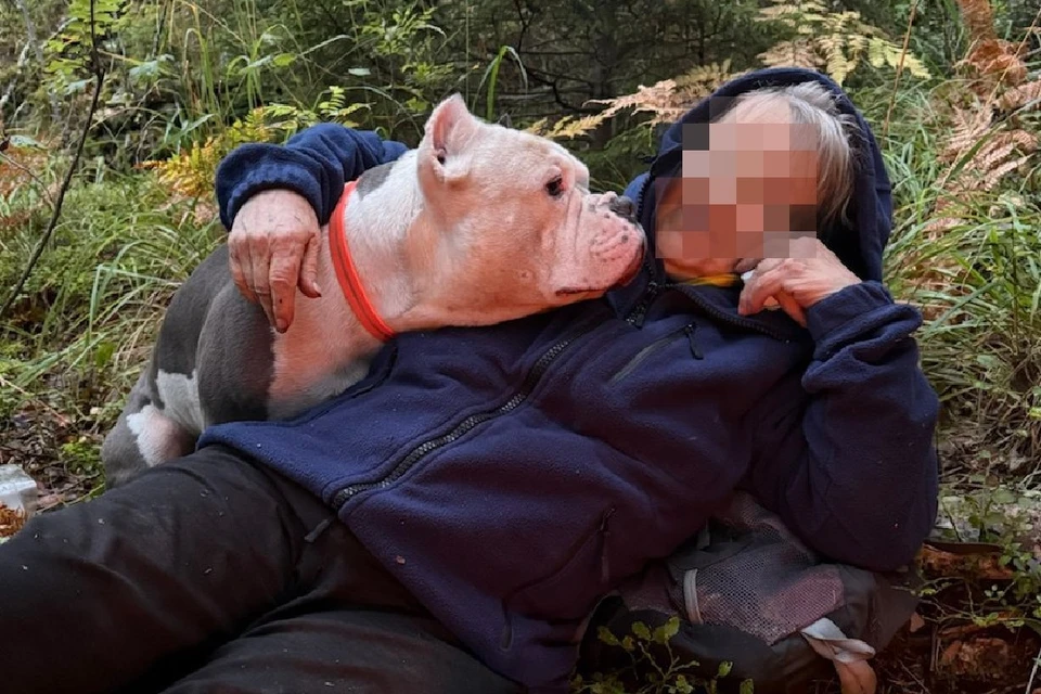 Стойкая бабушка продержалась в лесу четыре дня, после чего ее нашли спасатели с собаками. Фото: ПСО "Экстремум"