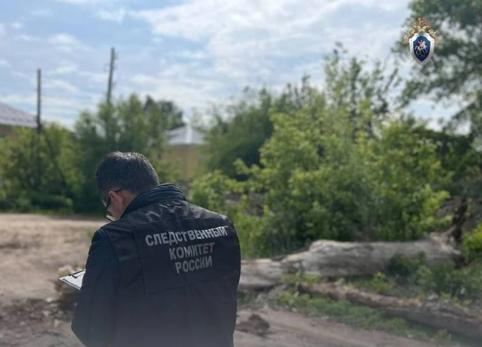 Фото: СУ СКР по Челябинской области
