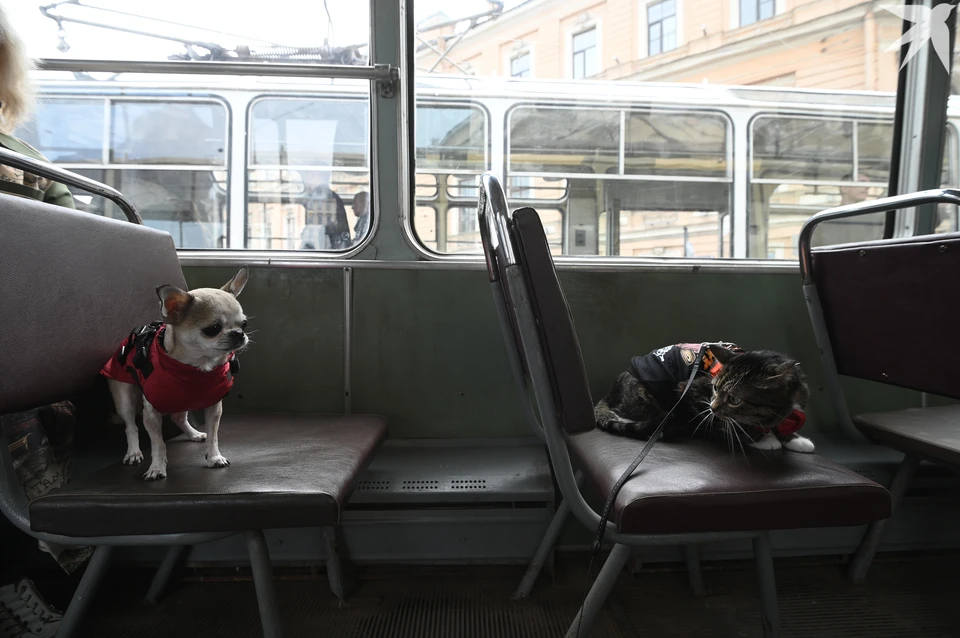 Северяне пожаловались на переполненные автобусы.