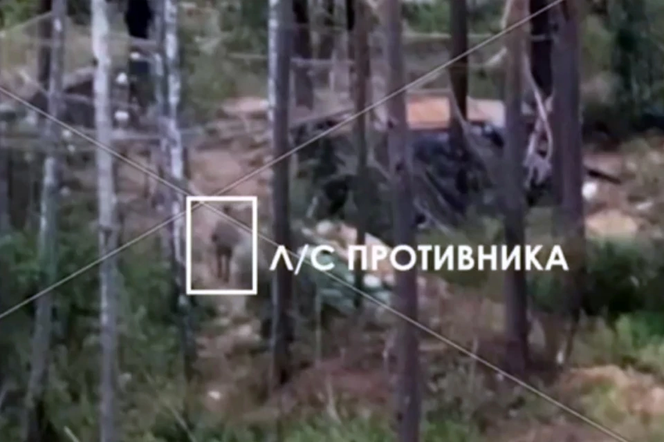 Ударные БПЛА нанесли контрольный удар по позициям противника