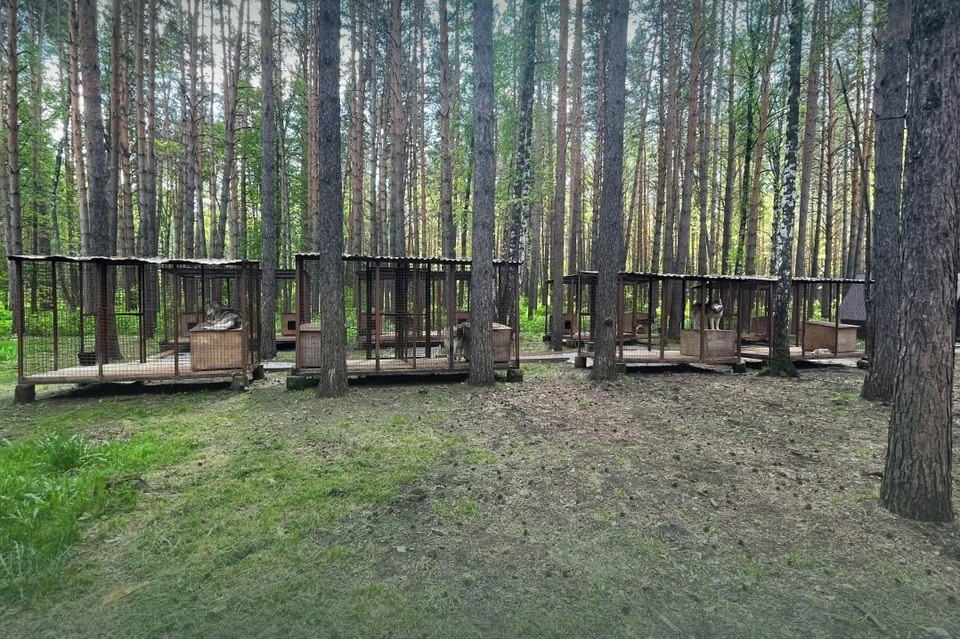 Фото: следком Кузбасса.