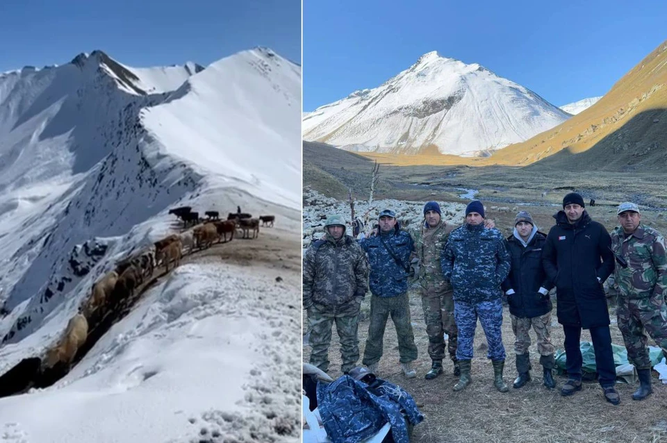 Сейчас мужчины находятся в безопасности. Фото: соцсети Юсупа Магомедова