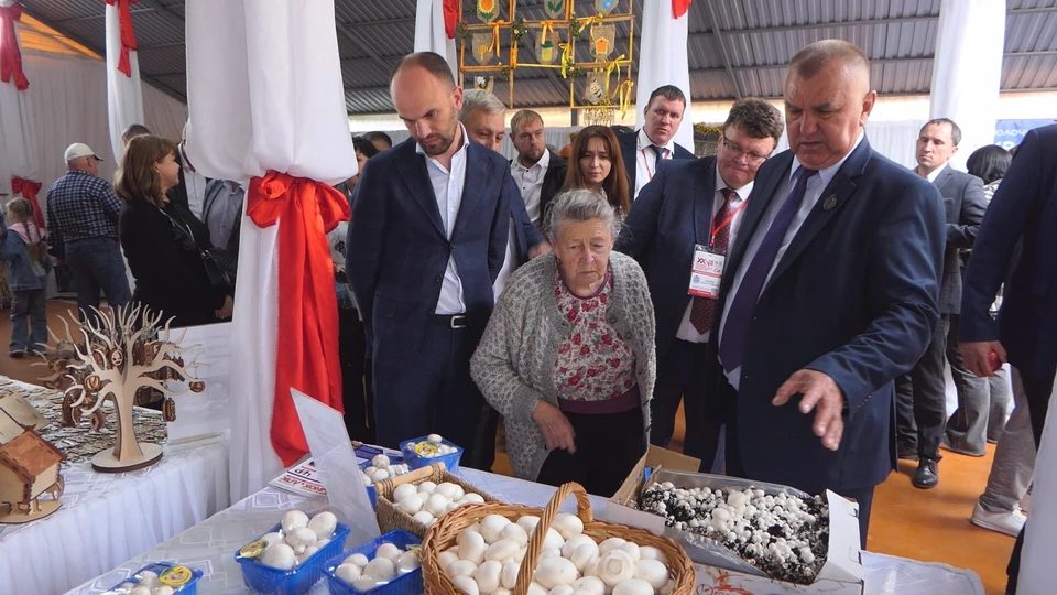 На выставке аграрии представили самую разнообразную продукцию / Фото: МБУ "Информационный центр "Междуречье"