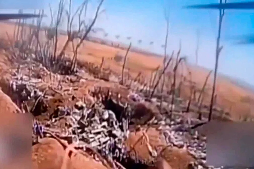 Минобороны России демонстрирует кадры боевой работы операторов FPV-дронов гвардейской 58-й общевойсковой армии группировки войск «Днепр» в Запорожской области.