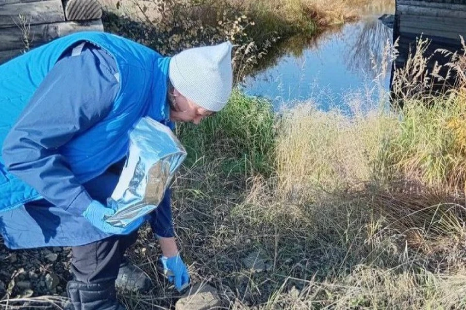 В Иркутской области начали вакцинировать диких животных. Фото: пресс-служба правительства Иркутской области