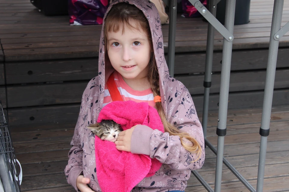 Каждому нужны забота и внимание.