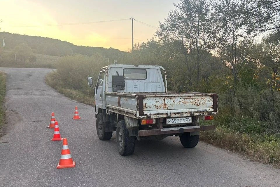 В Приморье трехлетняя девочка вылетела из кузова Toyota HiAce и погибла Фото: прокуратура Приморья