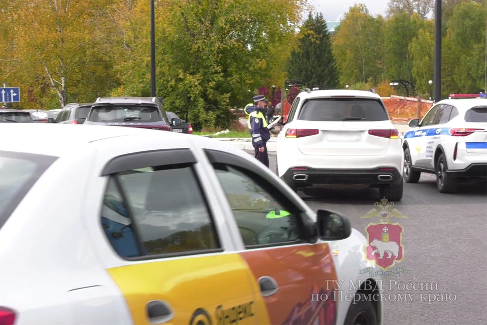 Кадр из видео ГУ МВД России по Пермскому краю