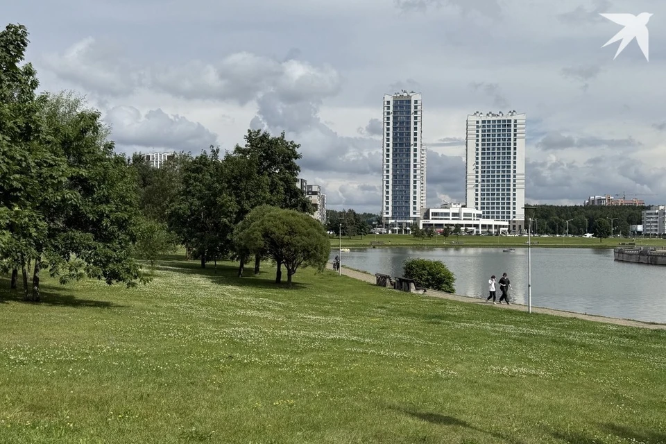 Белорус выловил экзотическую рыбу из Африки в городском пруду. Снимок носит иллюстративный характер. Фото: архив «КП»
