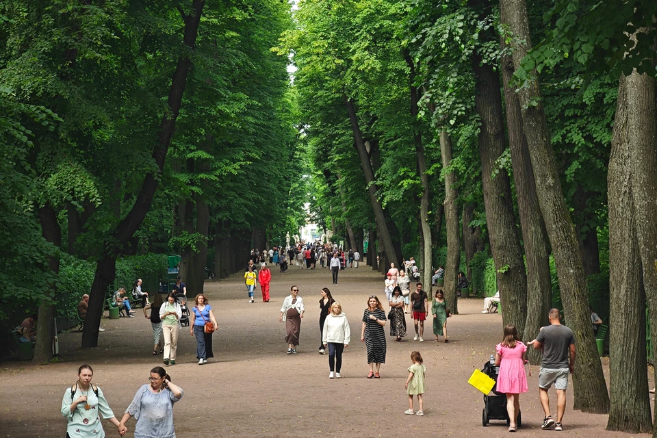 В Петербурге подвели промежуточные итоги.