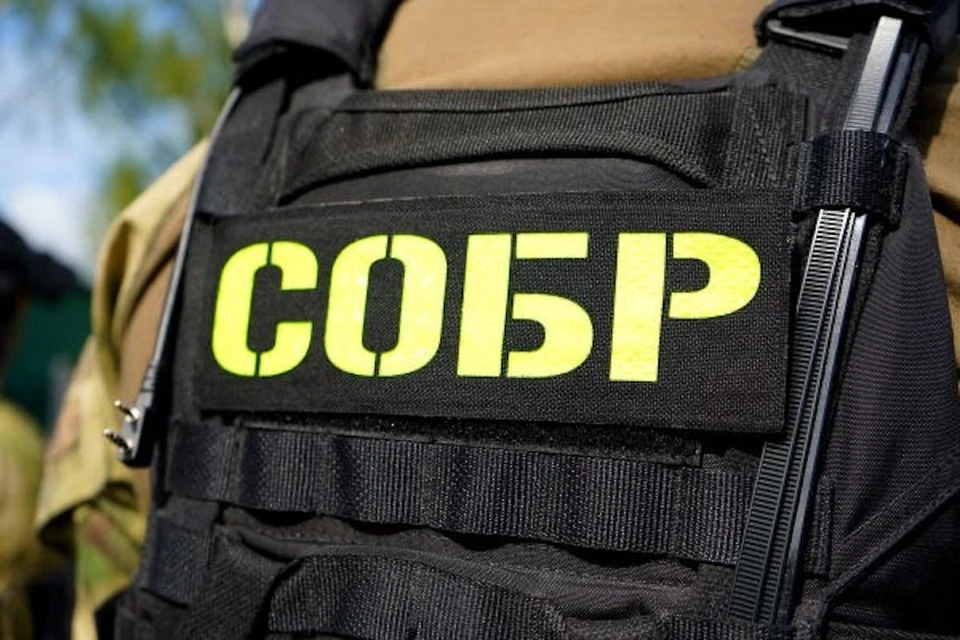 Росгвардейцы помогли задержать подозреваемых в серии краж авто в Подмосковье. Фото: ГУ Росгвардии по Московской области