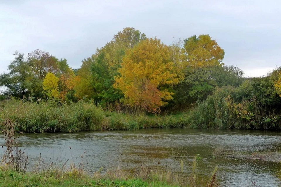 Для Республики принципиально важно использовать все возможные инструменты для решения водного кризиса. Фото: Правительство ДНР