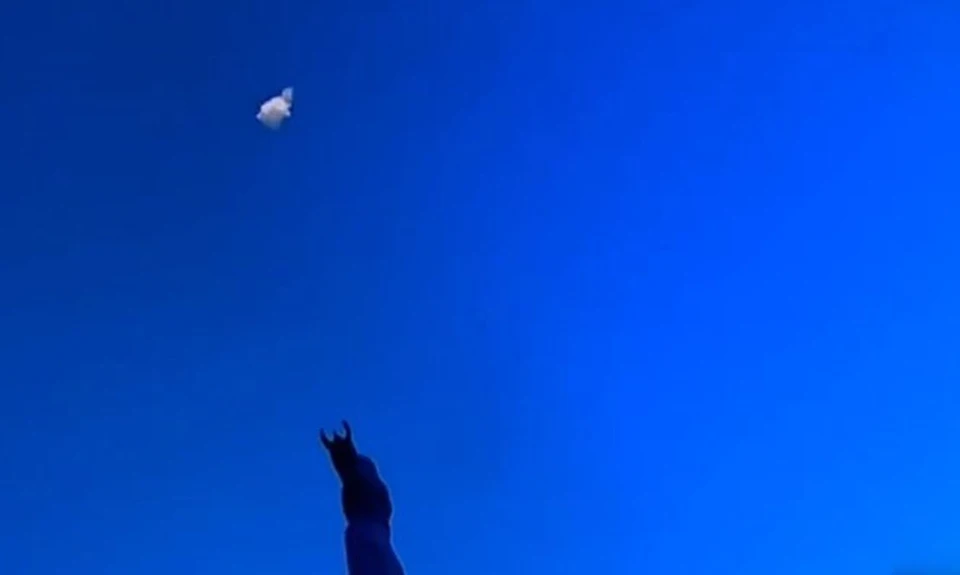 Кадр из видео РОСГВАРДИИ