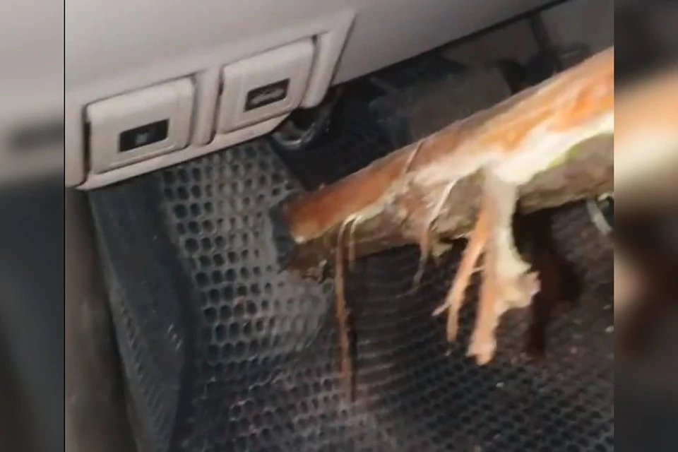 Острый кол остановился в считанных сантиметрах от груди и шеи 48-летнего водителя Николая Савченко. Скрин видео.