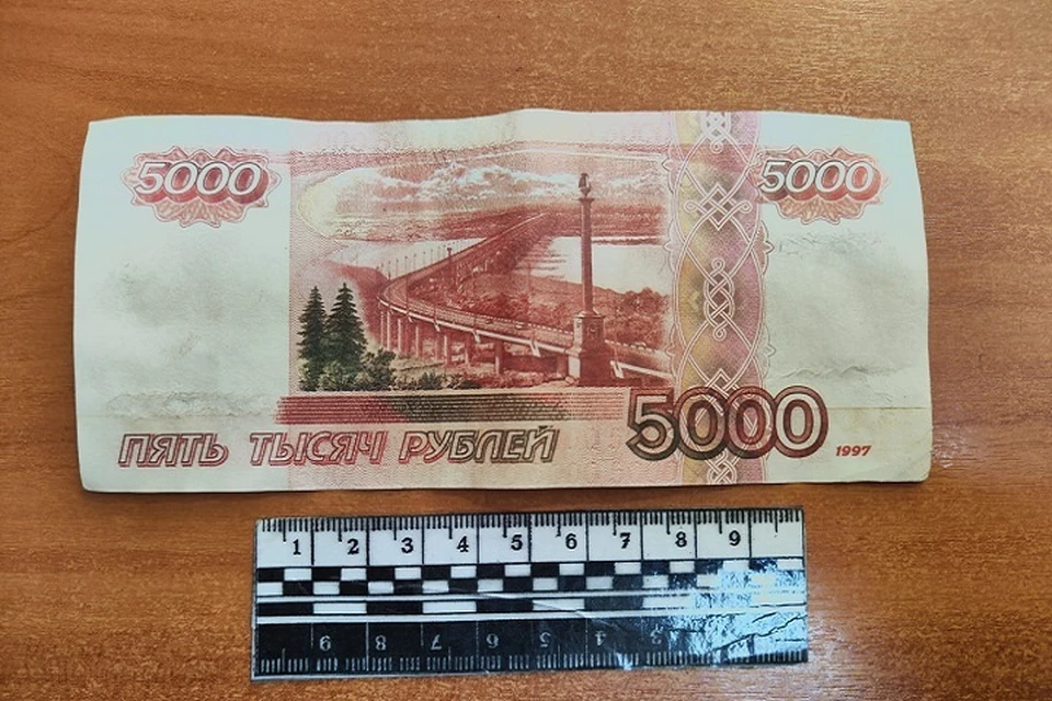 В Шахтерске задержали фальшивомонетчика. Фото: МВД по ДНР