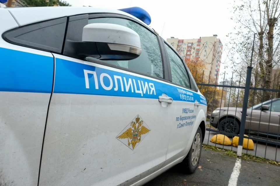 В Петербурге полицейская машина сбила двух пешеходов, один из них погиб