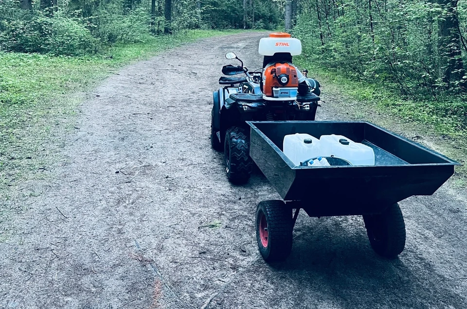 Фото: парк Порошино