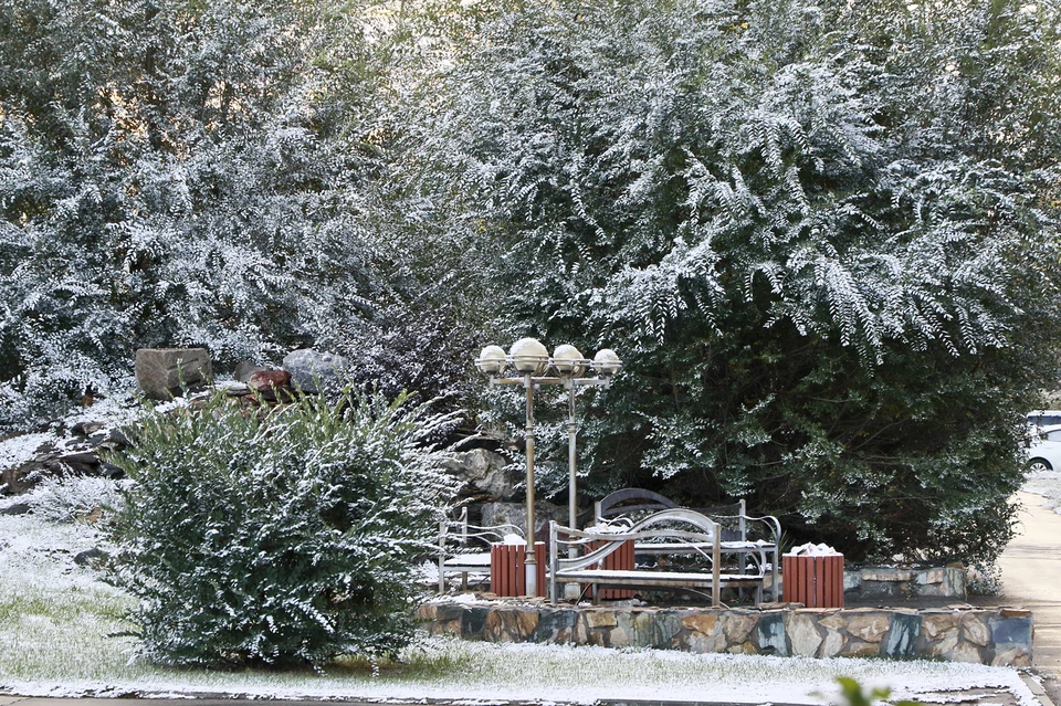 Снег в осеннем Барнауле