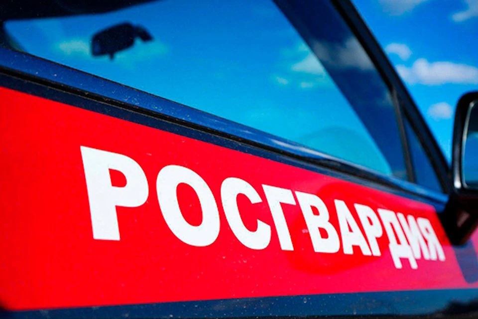 Подмосковные росгвардейцы задержали мужчину, угрожавшего убийством жене