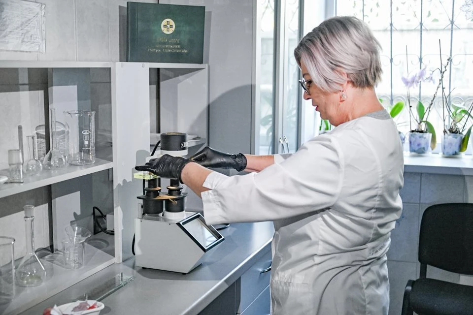 Проверка на качество - обязательное условие. Фото: sev.gov.ru