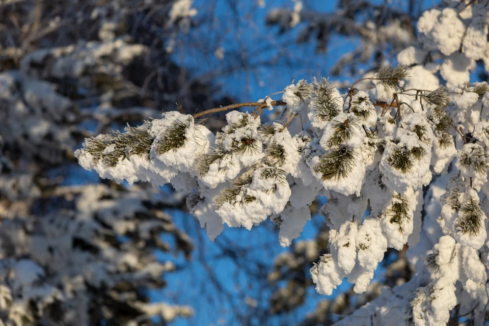 В Якутии 11 октября ожидается снежная и ветреная погода