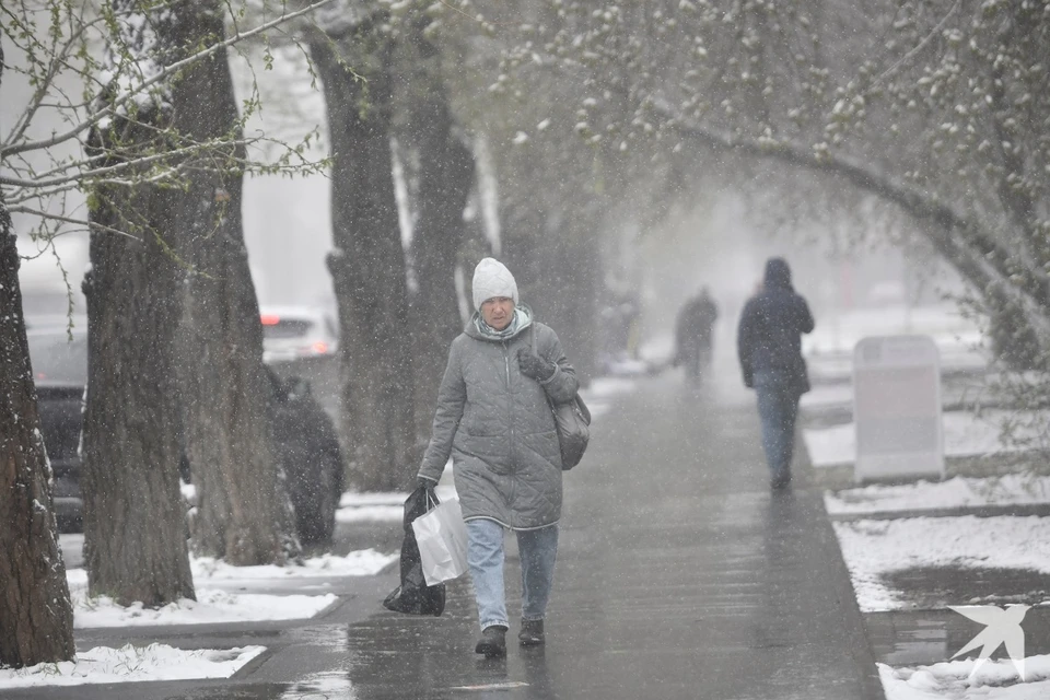 Во второй половине дня понедельника в городе сохраняется вероятность и небольшого снега