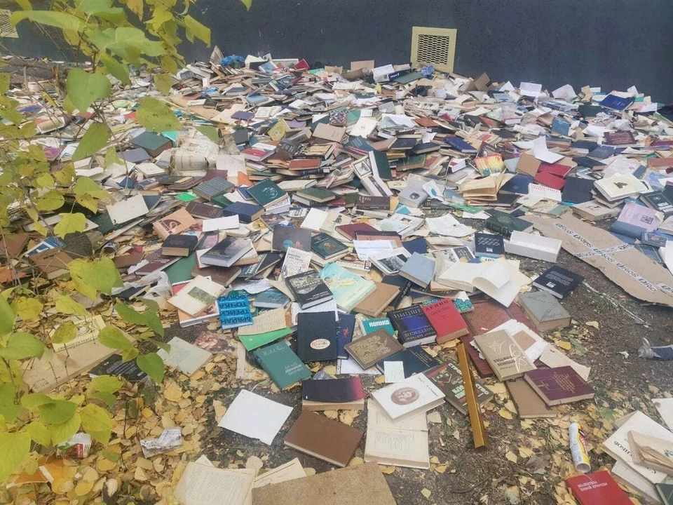 Фото: ТГ-канал "Оренбург"