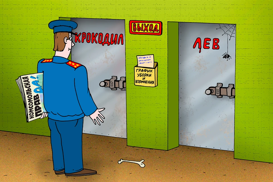 Крокодил или лев?