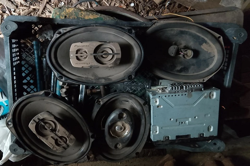 В Мангушском округе задержаны подростки, подозреваемые в краже автозапчастей. Фото: МВД по ДНР