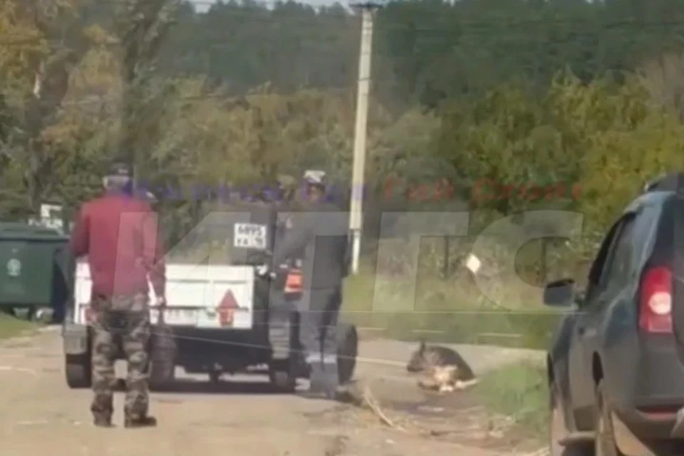 Расследование продолжается. Фото: vk.com/iggs18