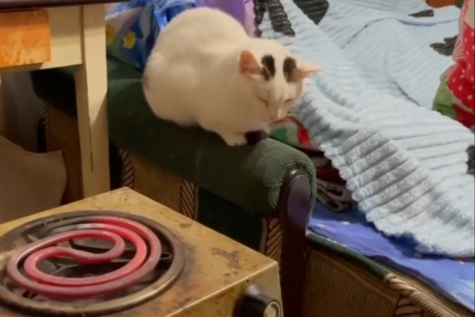 Далеко не все батареи в домах стали горячими. Фото: Народный фронт