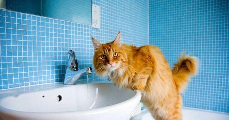Фото: из архива