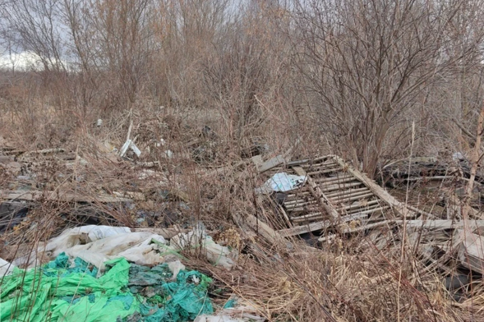 Фото Управления Россельхознадзора по Воронежской, Белгородской и Липецкой областям.