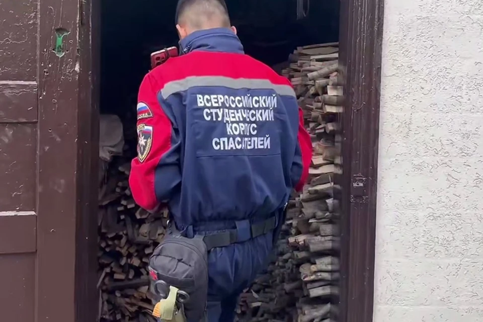 Московские добровольцы ВСКС оказали помощь матери погибшего участника СВО в ДНР. Фото: ВСКС