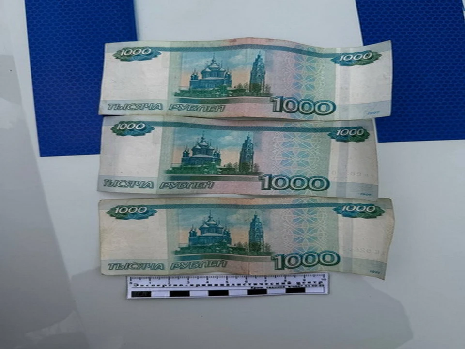 Фото УМВД России по Белгородской области