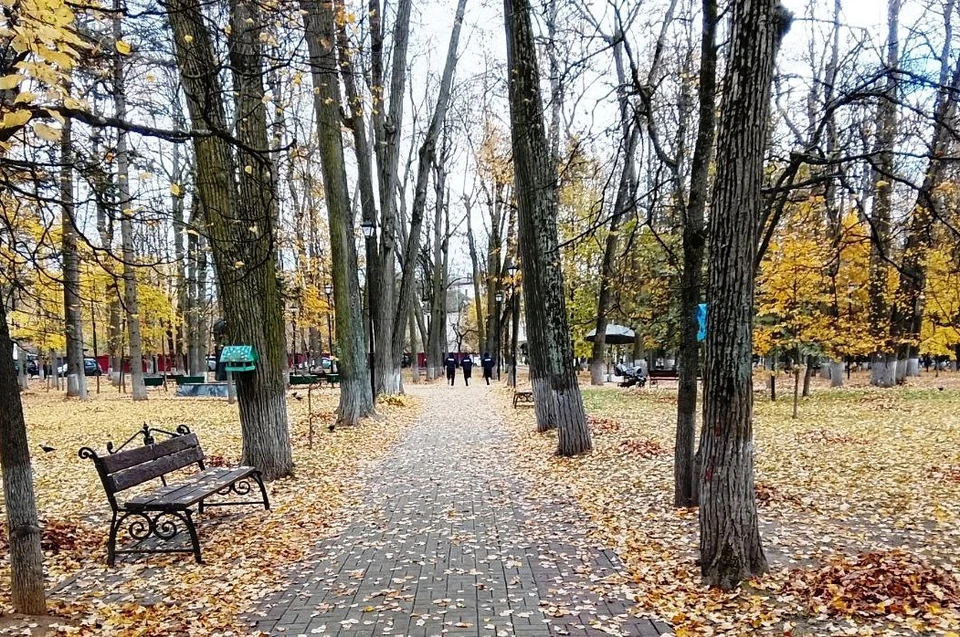 Калужский октябрь оказался сырым и теплым.