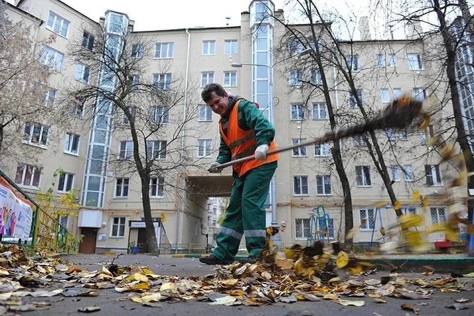 Белорусским дворникам раз в месяц надо будет помыть мусороприемную камеру. Фото носит иллюстративный характер.