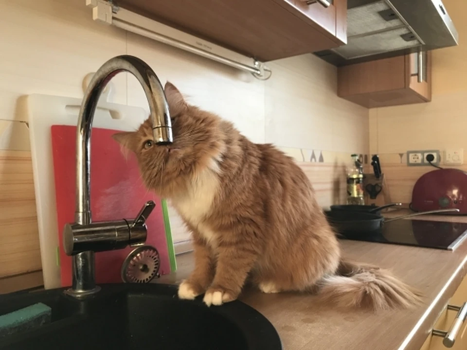 В Магадане несколько районов остались без воды из-за прорыва на улице Берзина