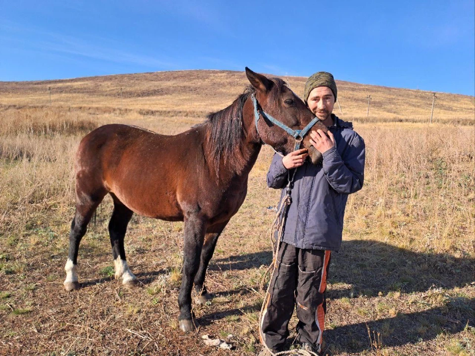 Похищенное животное было найдено и возвращено законному владельцу.