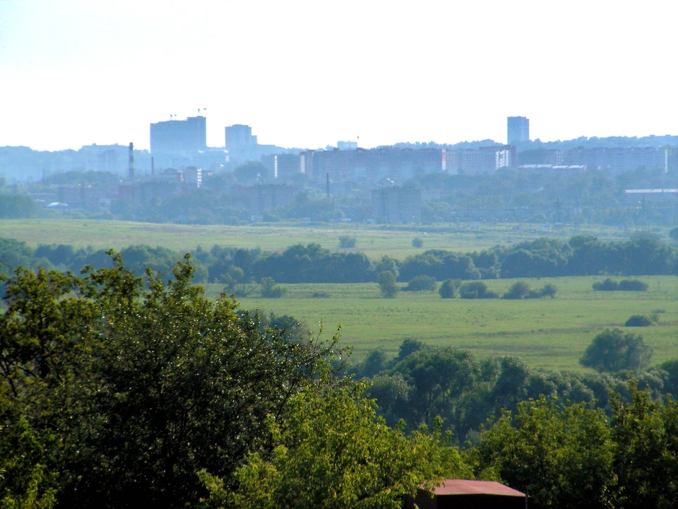 В Тульской области оштрафовали владельца заброшенного поля