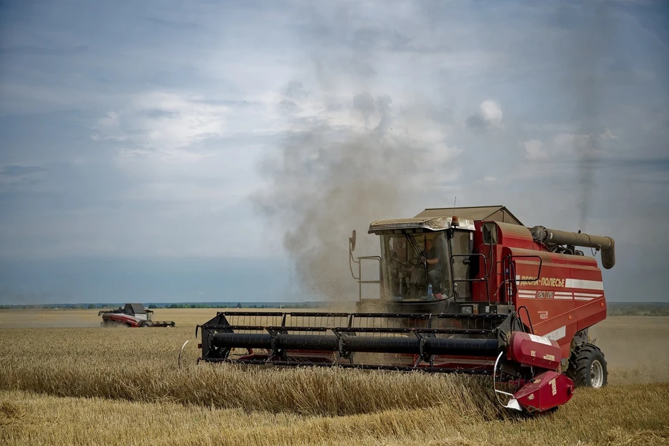 В Новосибирской области собрали 2,9 тонн зерна.