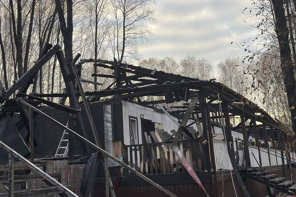 Фото: читатель «КП-Красноярск»