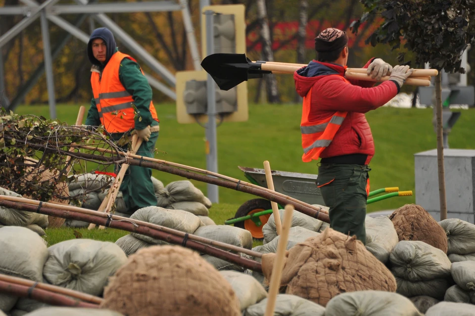 Ульяновские озеленители продолжают высадку деревьев и кустарников. Фото архив КП